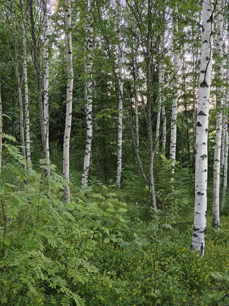 oplus_48