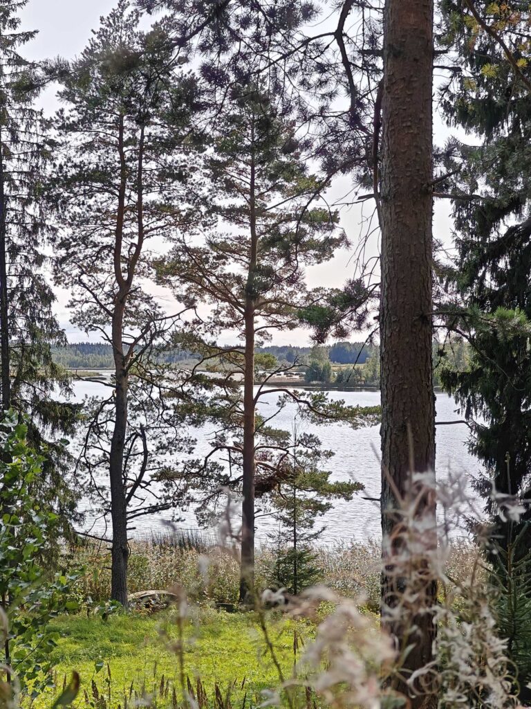 oplus_1048610